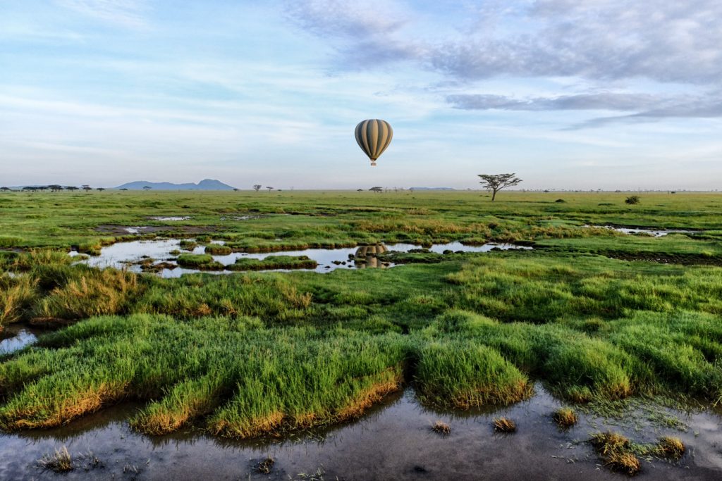 A Serengeti Morning - Richard Krieger